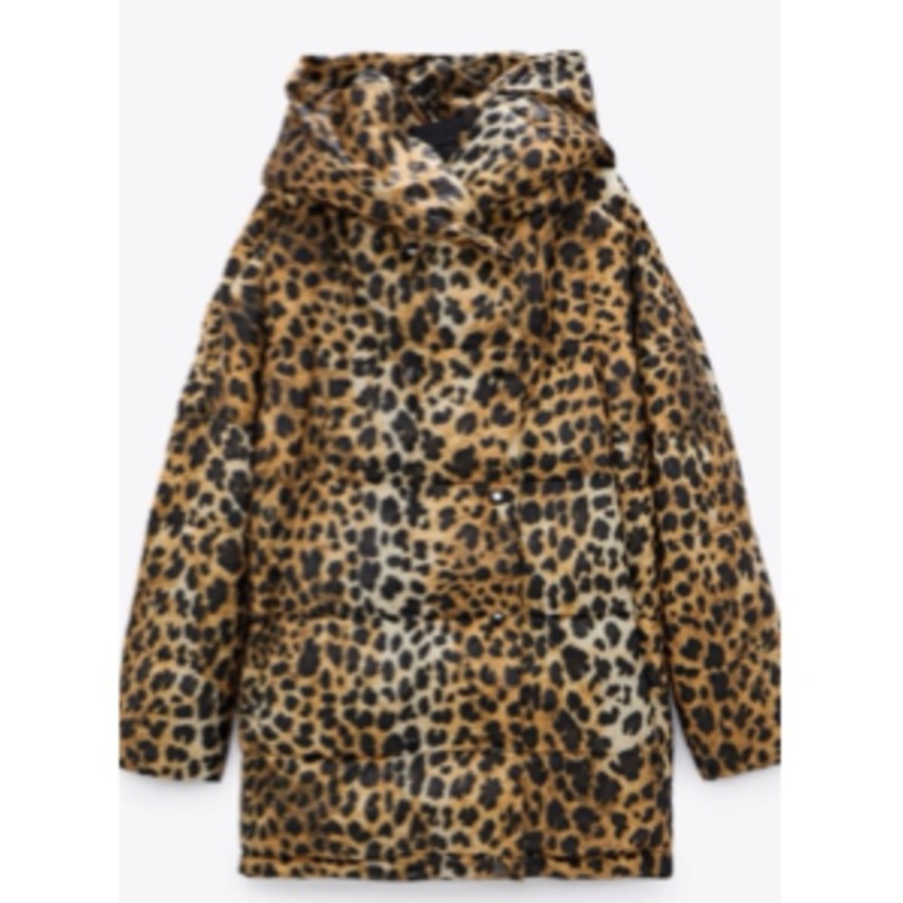 Lg cheetah print Zara jacket
